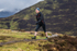Coledale-1241