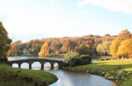 Stourhead gardens during autumn_002