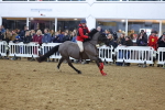 SBM_003995