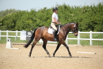 SBM_009530