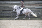 SBM_007235