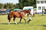 SBM_19310