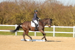 SBM_003599