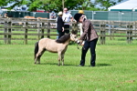 SBM_03571