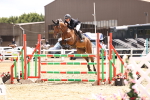 SBM_003559