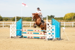SBM_002980
