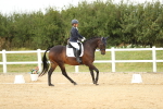 SBM_018480