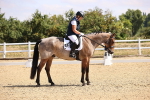 SBM_006527