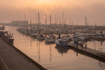 Misty Harbour  09/11/25