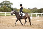 SBM_002595
