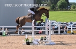 BPP_6695