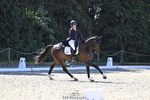 B-310-Kitty.King-LISCARROW.FERNHILL portfolio