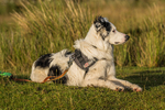 Tebay-224