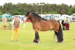 SBM_06325