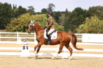SBM_014977