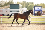 SBM_07045