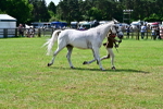 SBM_03886