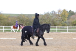 SBM_001049