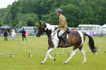 SBM_00935