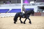 SBM_6545