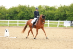 SBM_006274