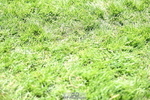 260703A-143456-09415