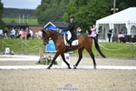 103-CLOUDED_LEOPARD-Jessica_Coombes-WEDTrotUp+DR portfolio