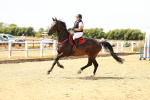 SBM_003331