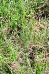 SBM_11479