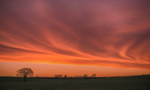 A New Dawn 30th March 2015