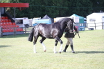 SBM_11116