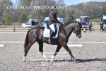 BPP_9459