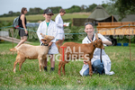 Guernsey Agricultural Show 2021-68