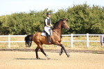 SBM_000033
