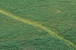 Barrow-1