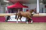 SBM_05079