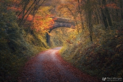 Drake's Trail
