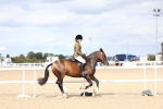 SBM_15788