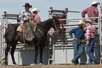 RODEO WRANGLERS TAKE 5 by Sylvia Adams