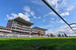 220825-Race 5-Cape Flora-9469
