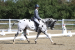 SBM_001183