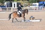 BPP_8328