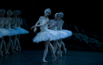 Swan Lake portfolio
