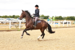 SBM_005003