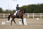 SBM_022004