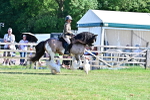 SBM_19470