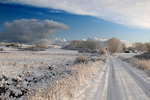 White Inishowen