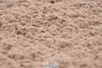 230702A-095910-07928