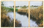 Gray Lodge Wildlife Area
