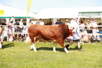 SBM_08363